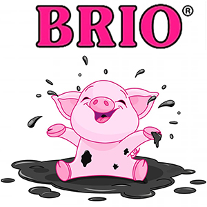 Brio biggenvoeding logo